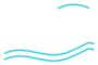 HL — Dr. Reza Hassanian Lab